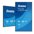 iiyam ProLite LH5564UHS-B1AG, 139cm (55''), 4K, USB, USB-C, RS232, Ethernet, Wi-Fi, Android, kit (RS232), black