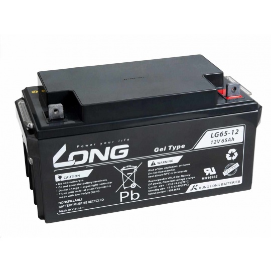 Long 12V 65Ah olověný akumulátor M6 LongLife (WPL65-12AN)