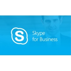Skype for Business Server Standard CAL SA OLP NL Gov USER Skype for Business Server Standard CAL SA OLP NL Gov USER