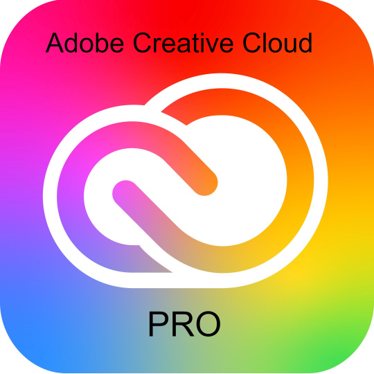 Adobe Creative Cloud Pro PLUS for teams MP ML (+CZ) Commercial 1 User, 12 Months, Level 2, 10-49 Lic