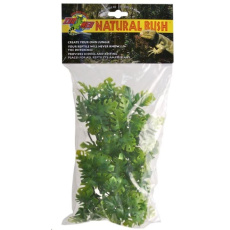 Rost.ter.ZMD Amazonian Phyllo S Rost.ter.ZMD Amazonian Phyllo S