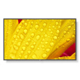 NEC LFD 50" MultiSync ME501 IR-2, 50" ME-Series Large Format Display, UHD, 400cd/m2, D-LED backlight, 18/7 proof,